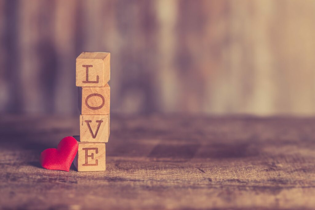 Photo by Ylanite Koppens from Pexels