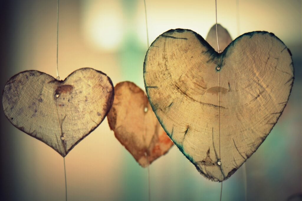 Photo by Pixabay from Pexels