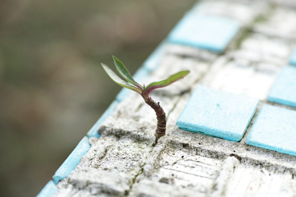 Photo by Engin Akyurt from Pexels
