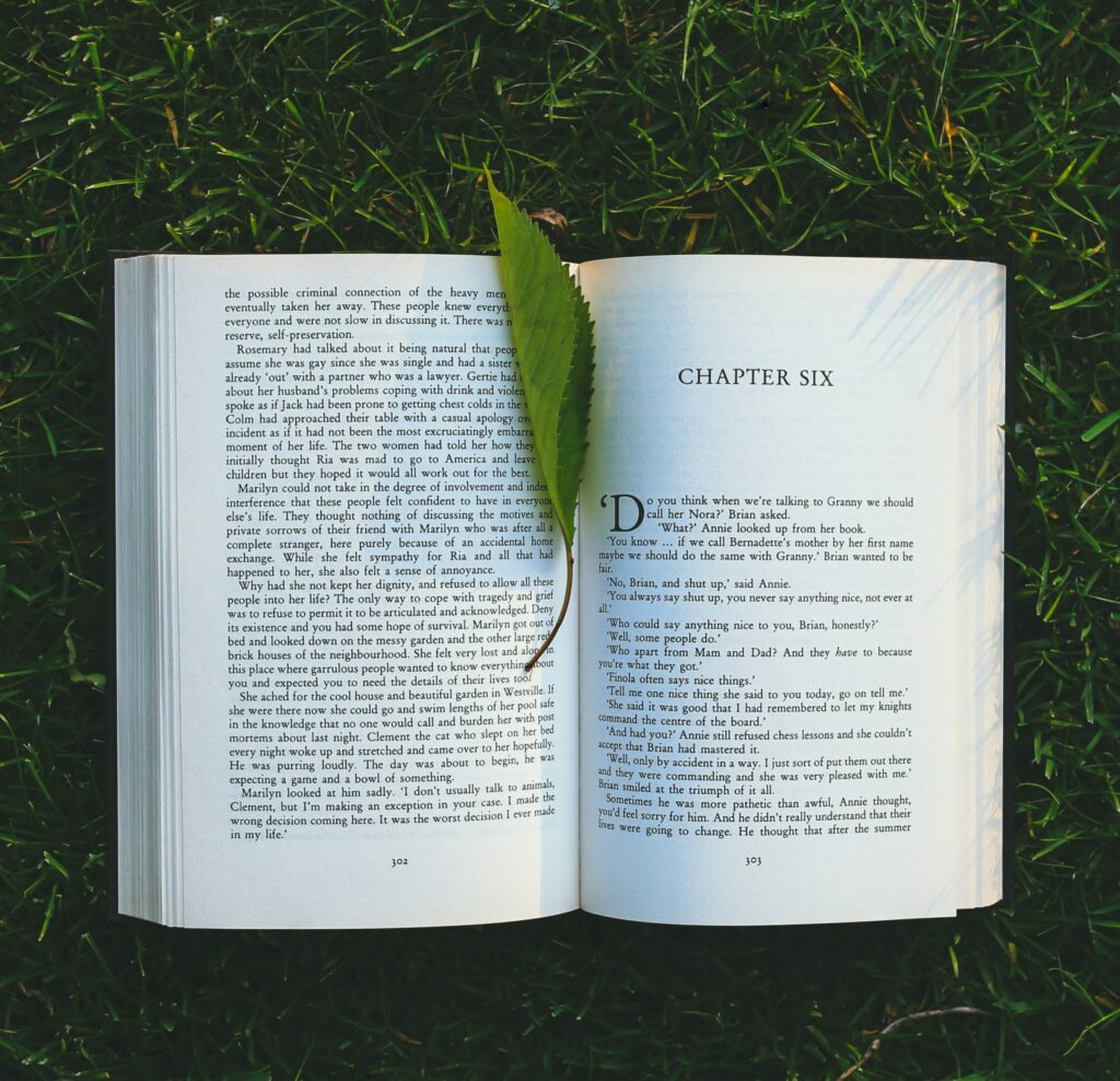 Photo by Kaboompics .com from Pexels